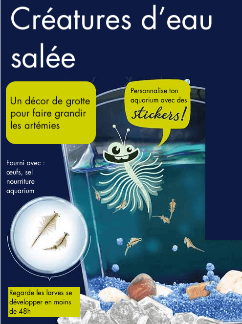Creatures d'eau salée affiche française